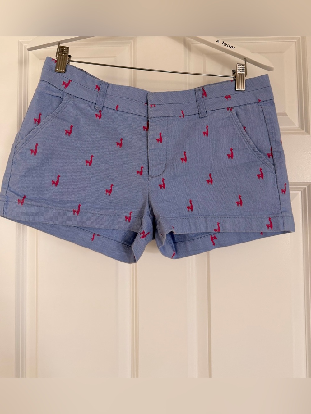 HARPER Light Blue Embroidered Women’s Shorts with Pink Accent LLAMAS 🦙